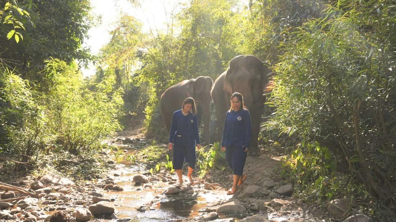 Photo of Others in Luang Prabang