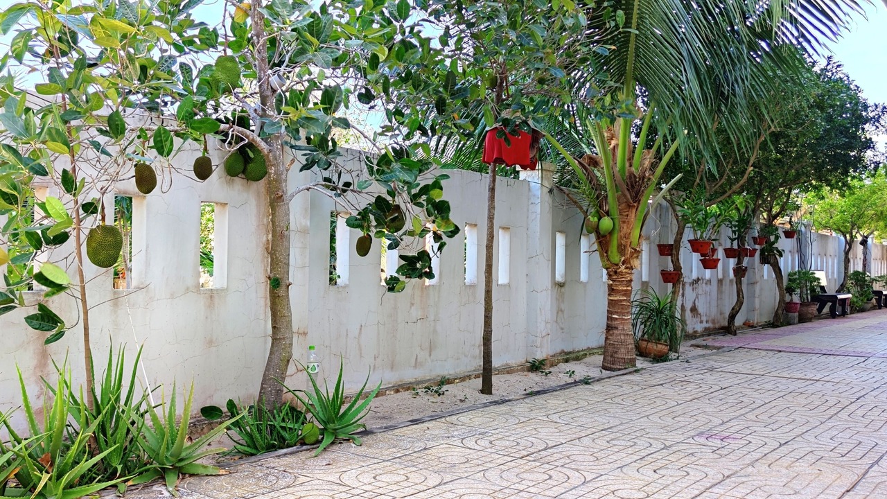 Photo of Outdoor in East Ham Tien Beach