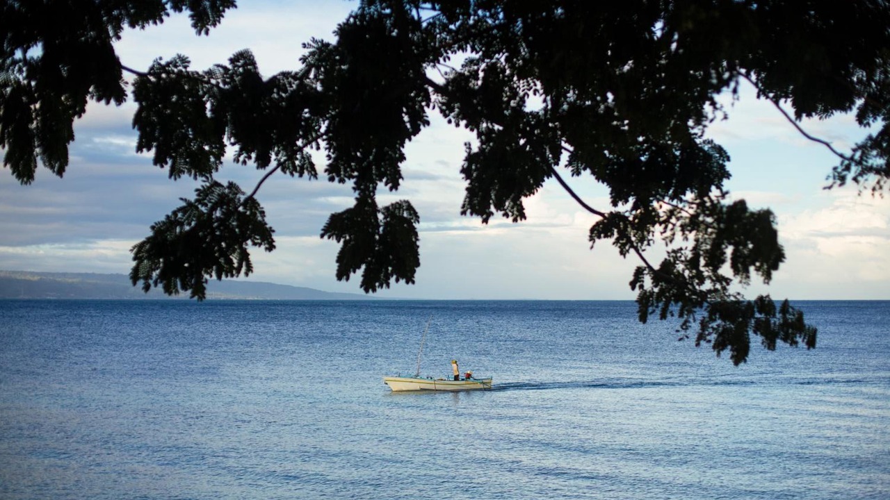 Photo of Others in Luwuk