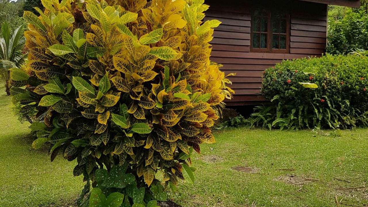 Photo of Outdoor in Krabi