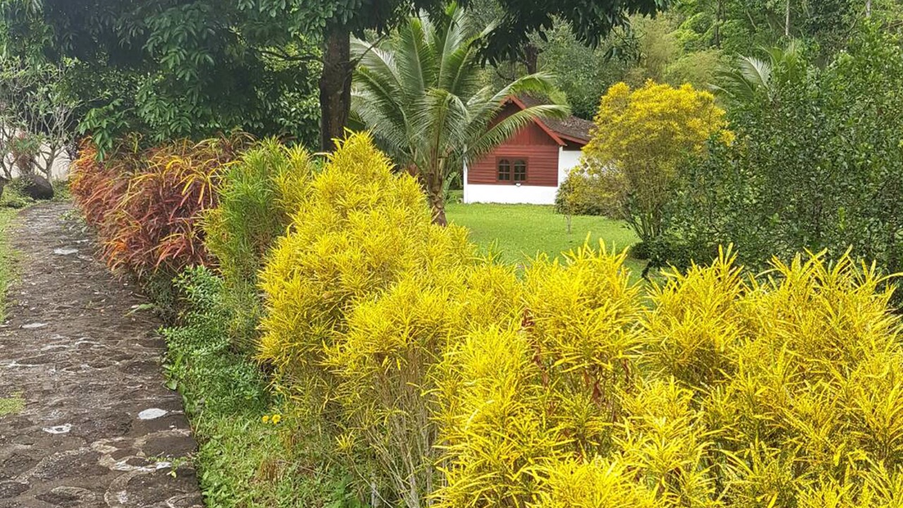 Photo of Outdoor in Krabi