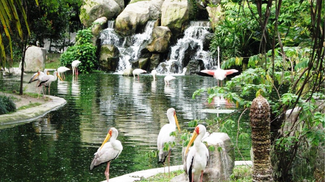 Photo of Others in Kuala Lumpur
