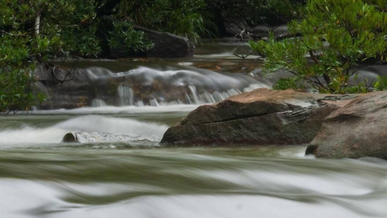 Photo of Others in Tatai