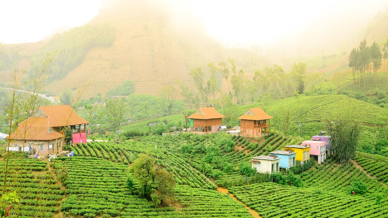 Photo of Outdoor in Moc Chau