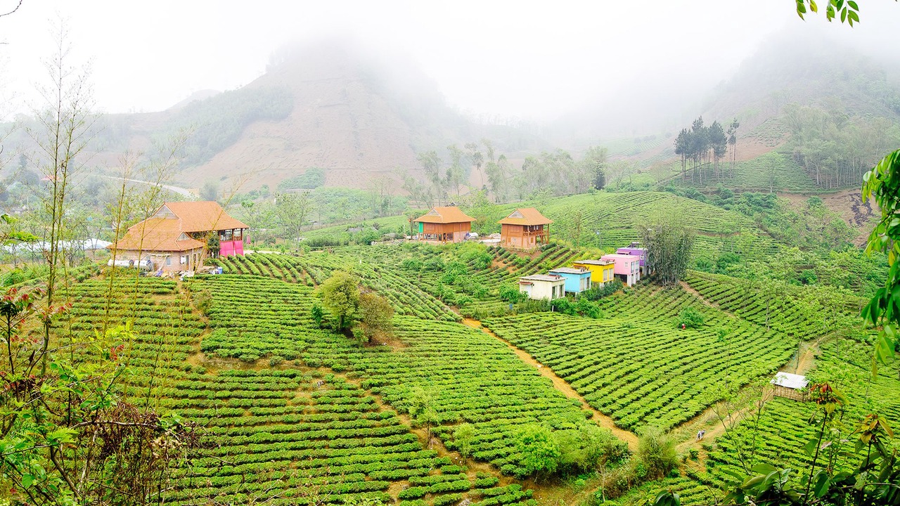 Photo of Outdoor in Moc Chau