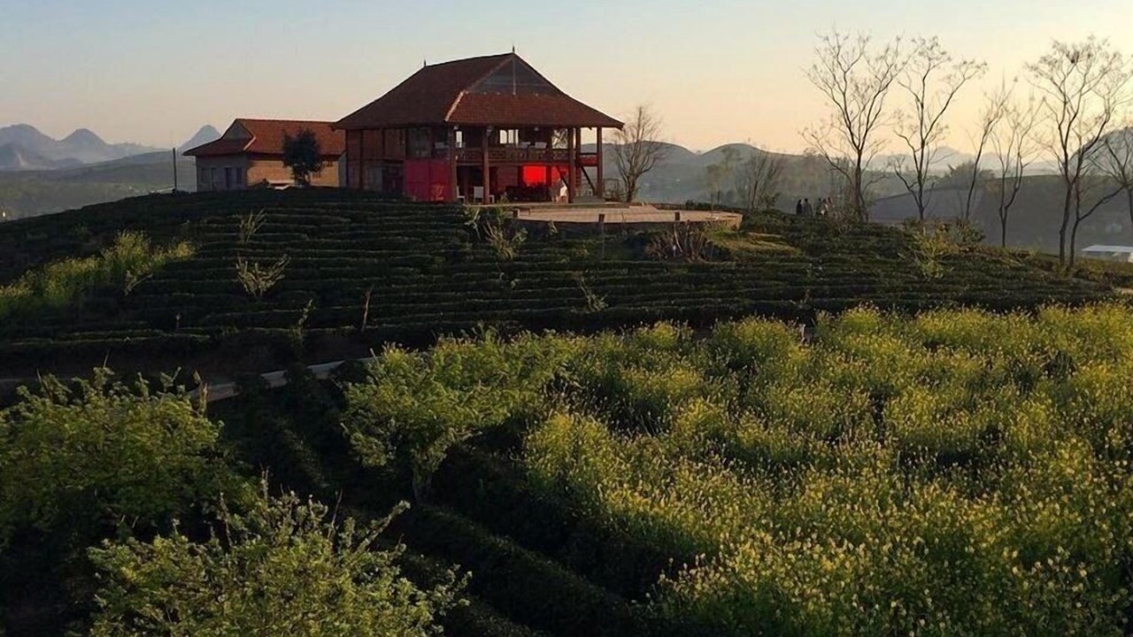 Photo of Outdoor in Moc Chau