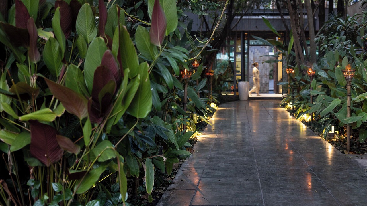 Photo of Outdoor in Siem Reap