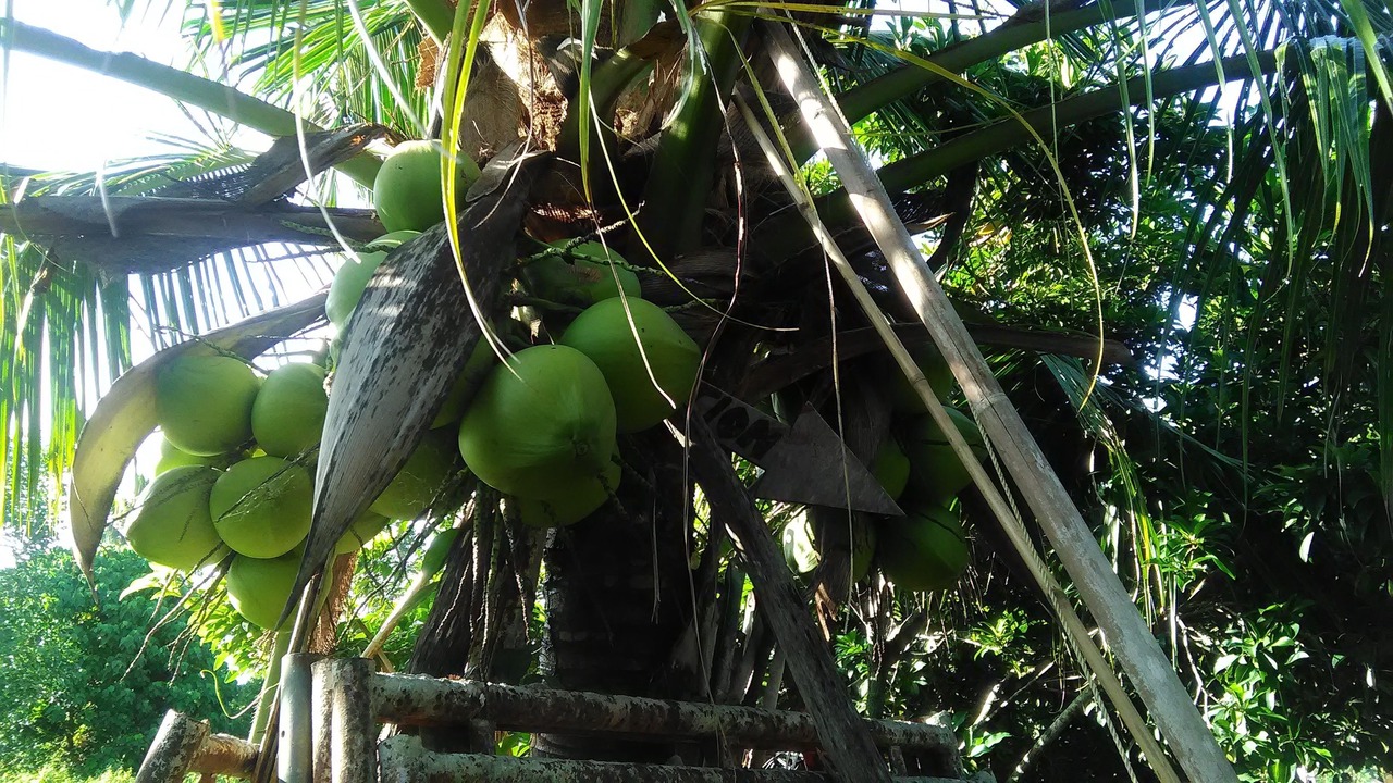 Photo of Outdoor in Lubok Buaya