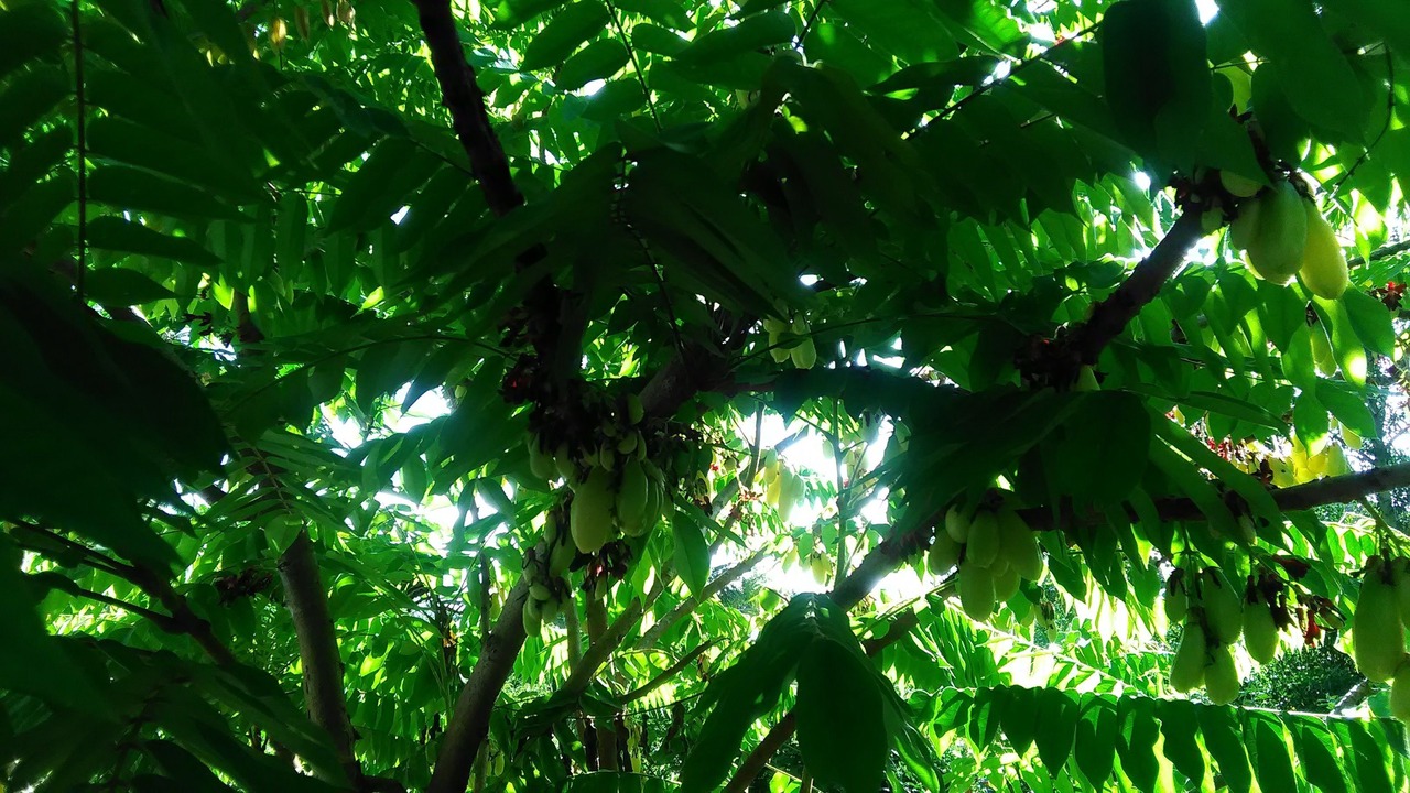 Photo of Outdoor in Lubok Buaya