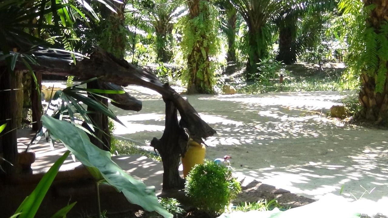 Photo of Outdoor in Lam Kaen