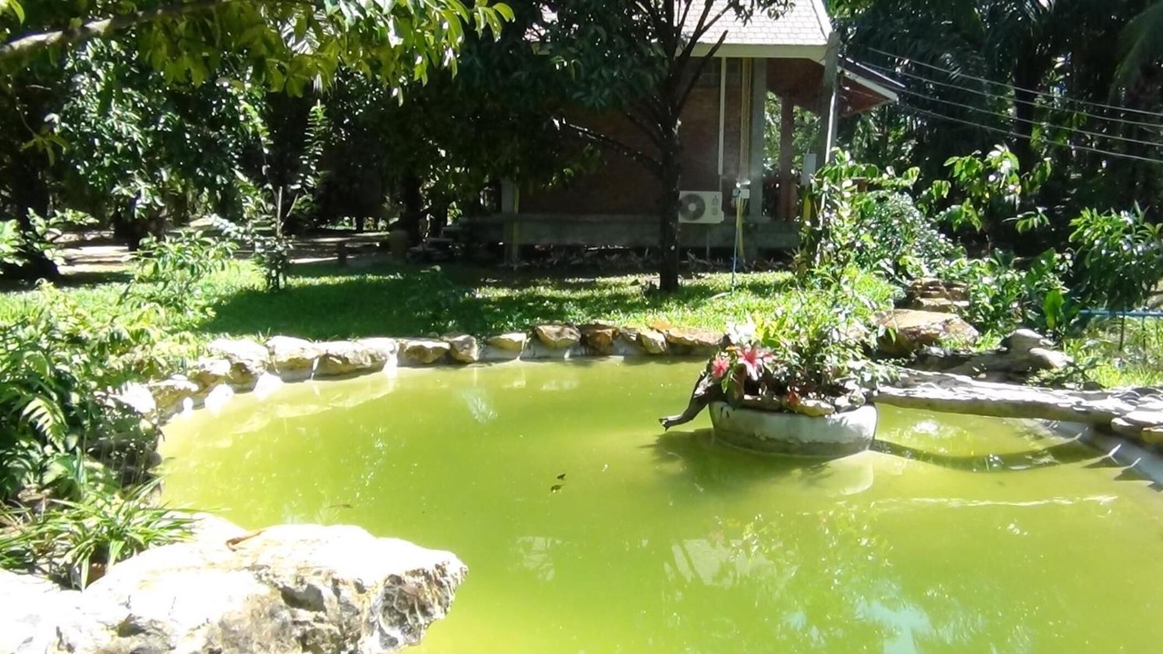 Photo of Outdoor in Lam Kaen