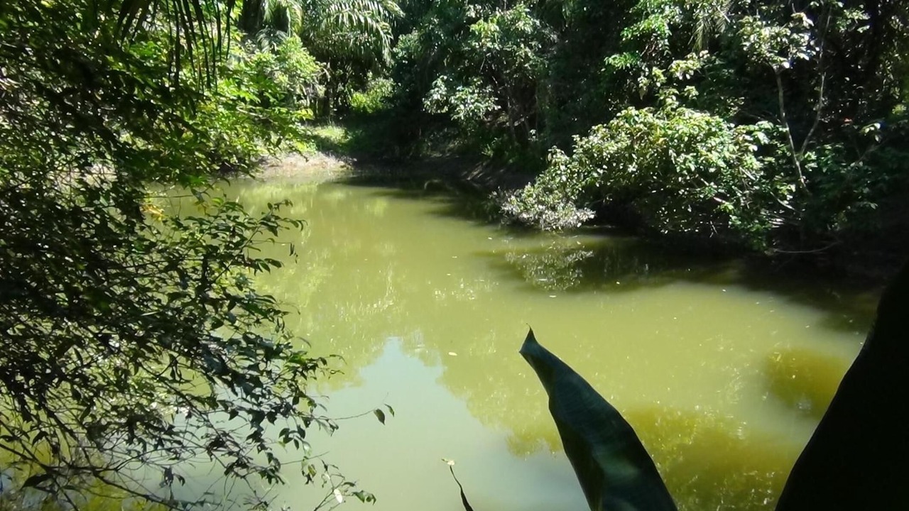 Photo of Outdoor in Lam Kaen