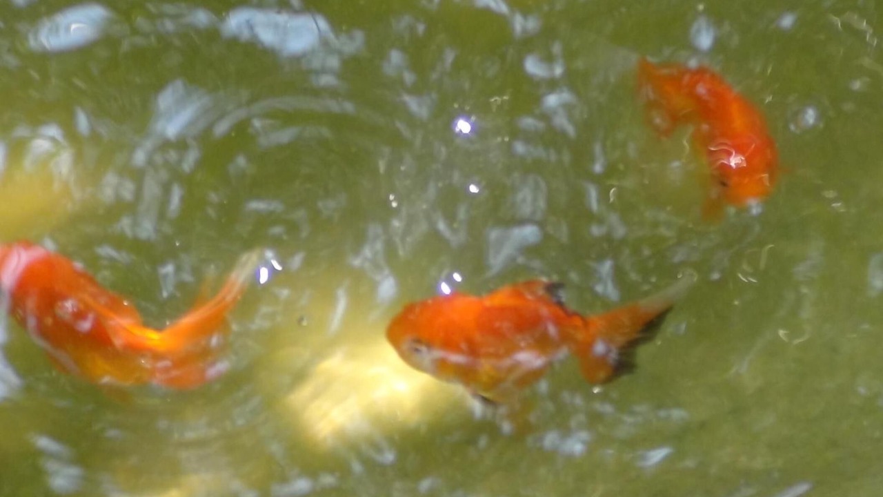 Photo of Outdoor in Lam Kaen
