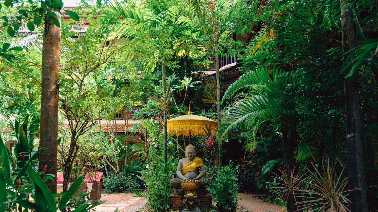 Photo of Outdoor in Siem Reap