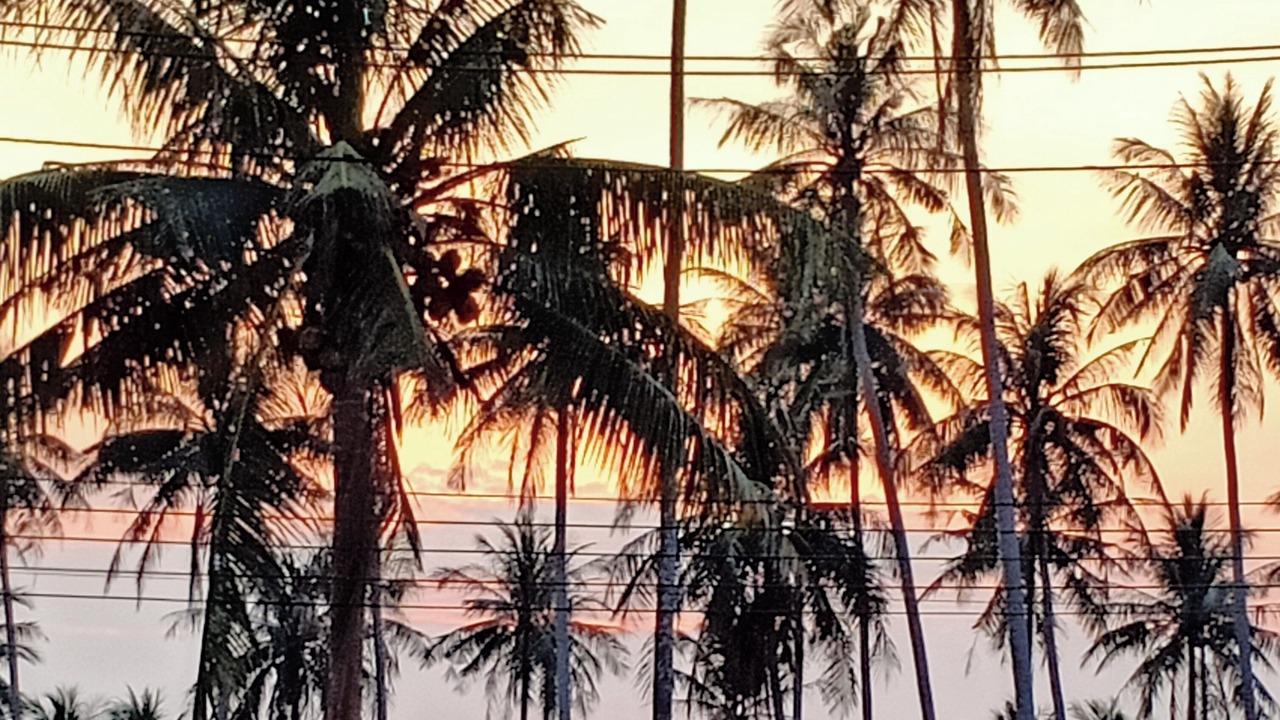 Photo of Others in Ko Mak