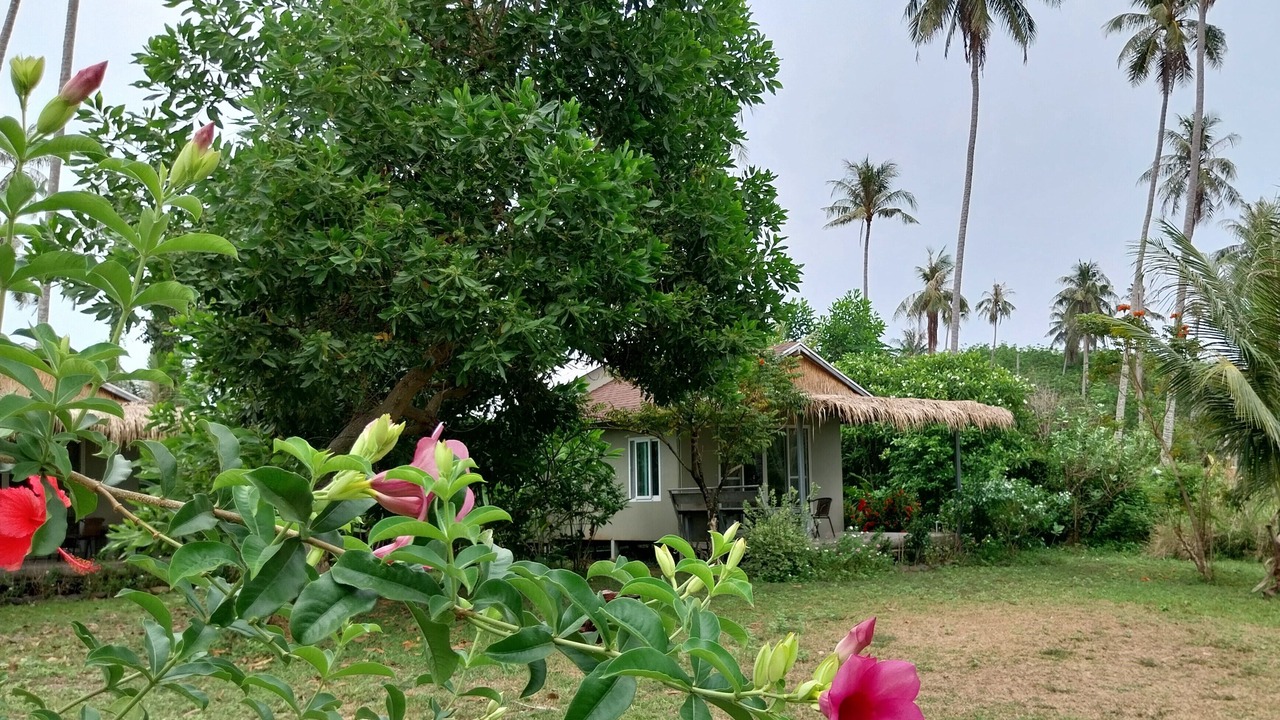 Photo of Outdoor in Ko Mak
