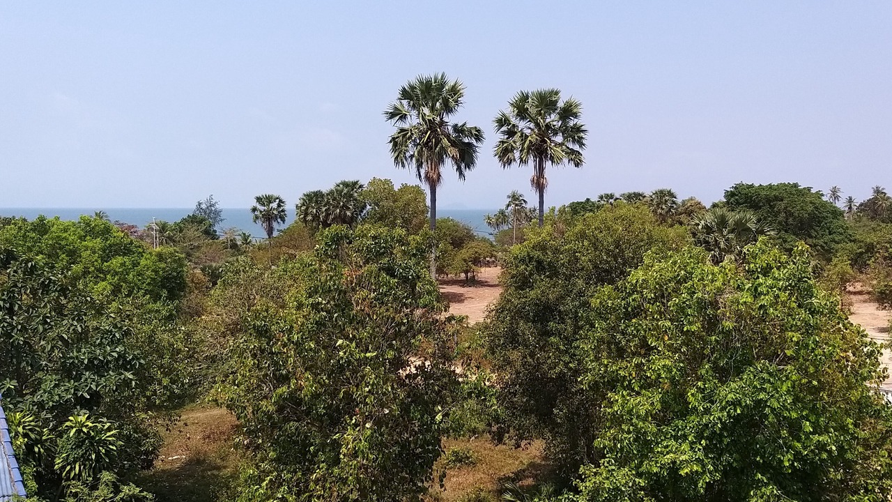 Photo of Others in Krong Kaeb