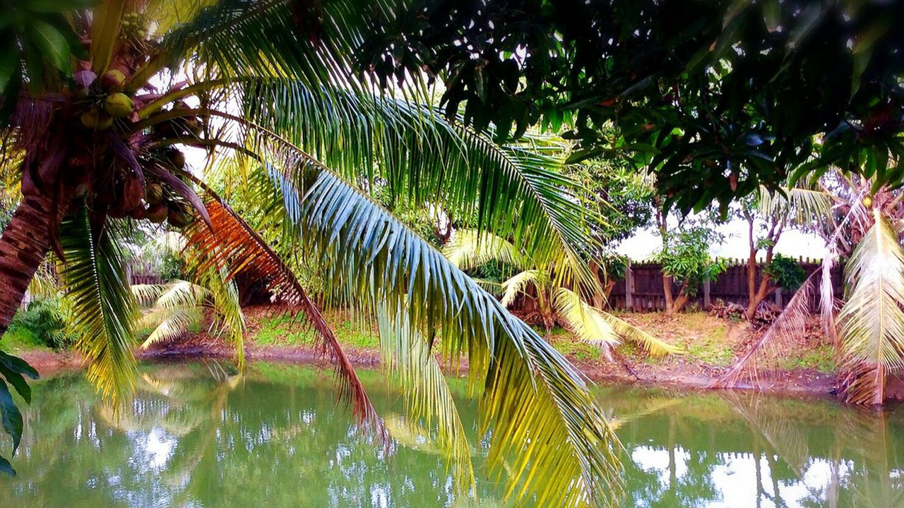 Photo of Outdoor in Suphan Buri