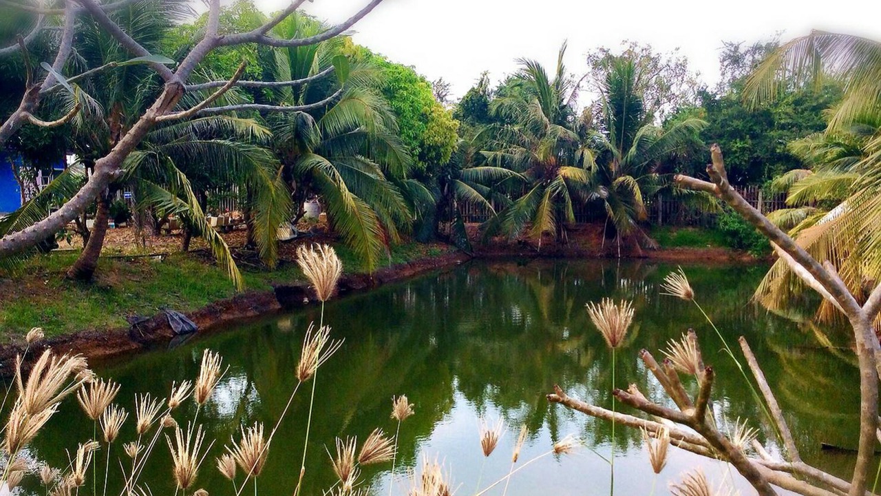 Photo of Outdoor in Suphan Buri