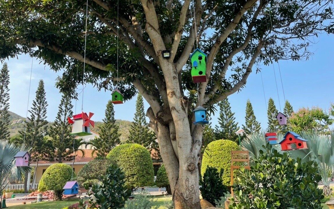 Photo of Outdoor in Long Hai