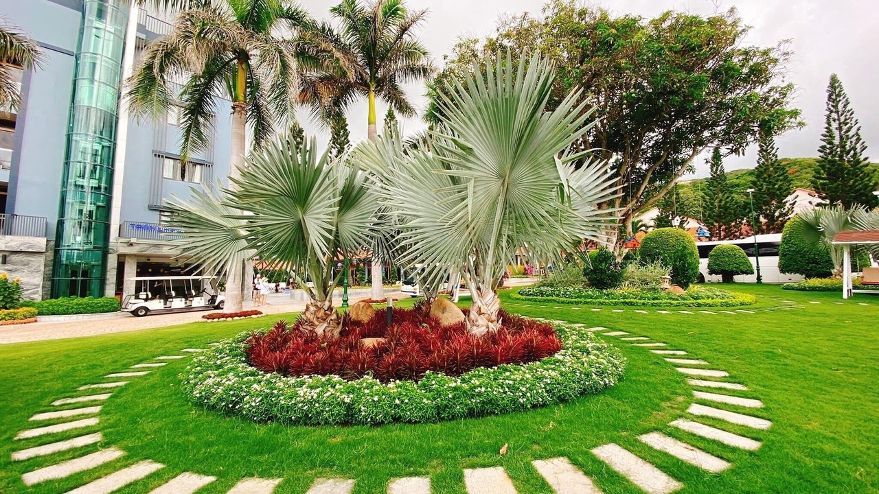 Photo of Outdoor in Long Hai