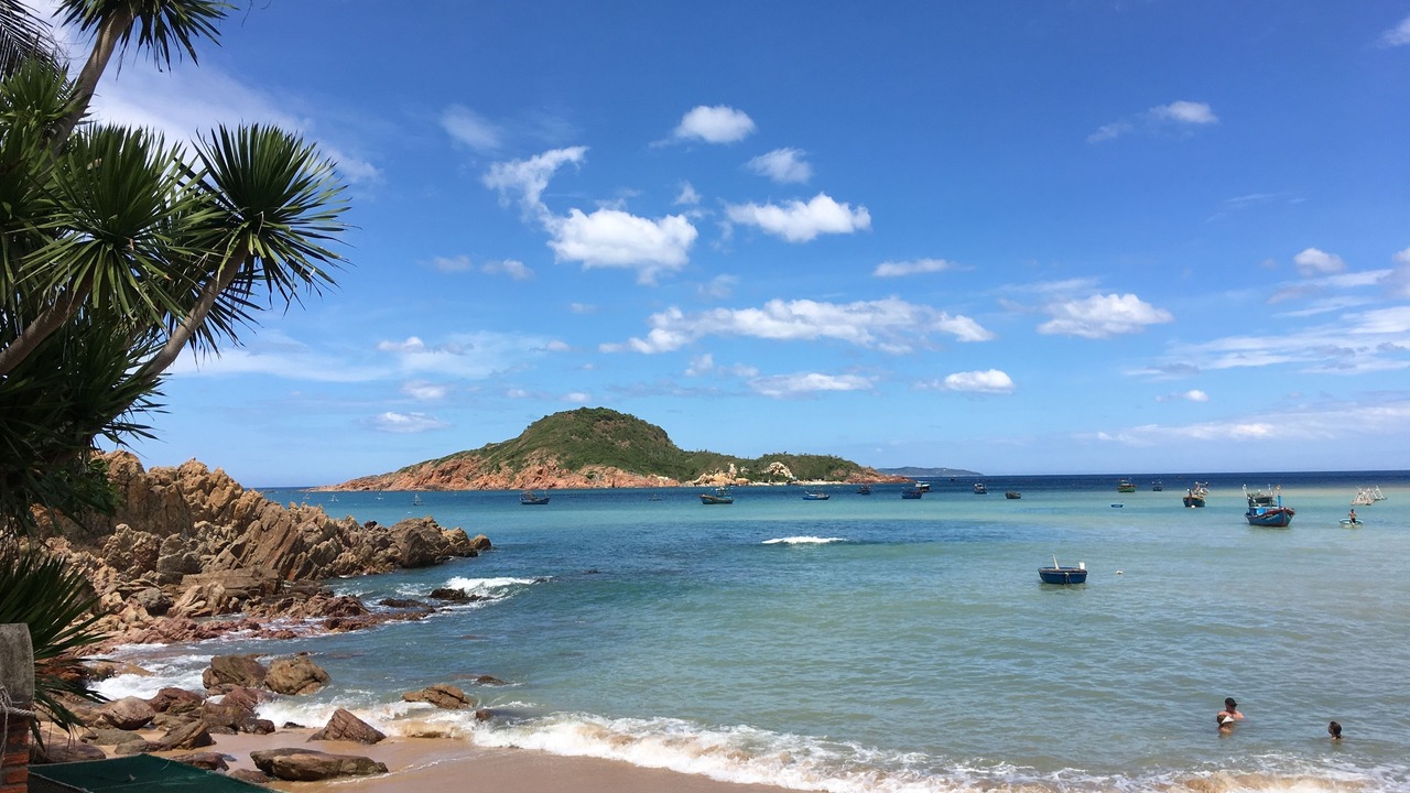 Photo of Others in Quy Nhon