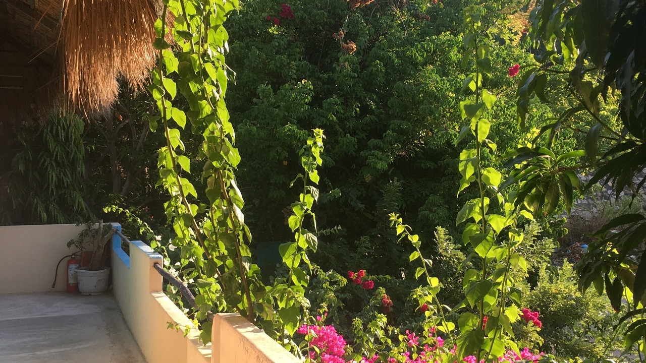 Photo of Patio Balcony in Quy Nhon