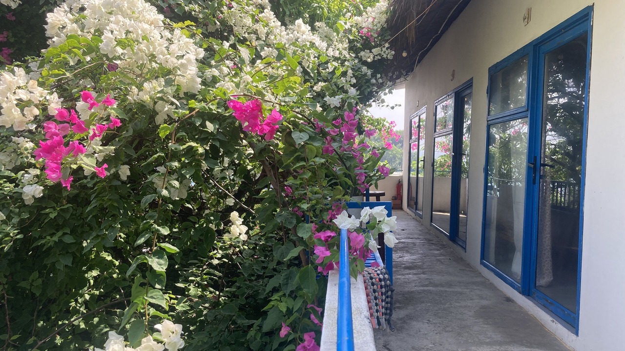 Photo of Outdoor in Quy Nhon