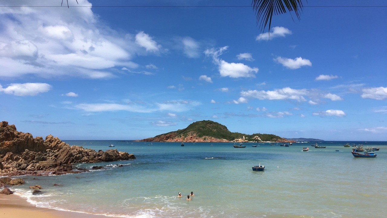 Photo of Others in Quy Nhon