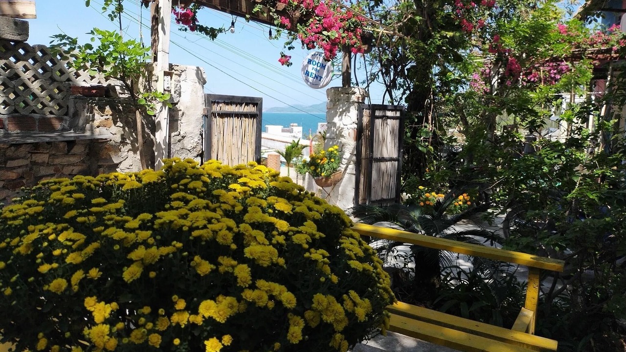 Photo of Outdoor in Quy Nhon