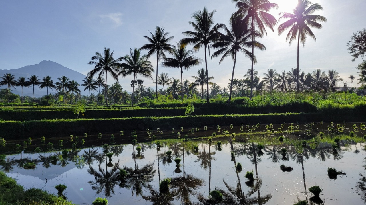 Photo of Outdoor in Tetebatu