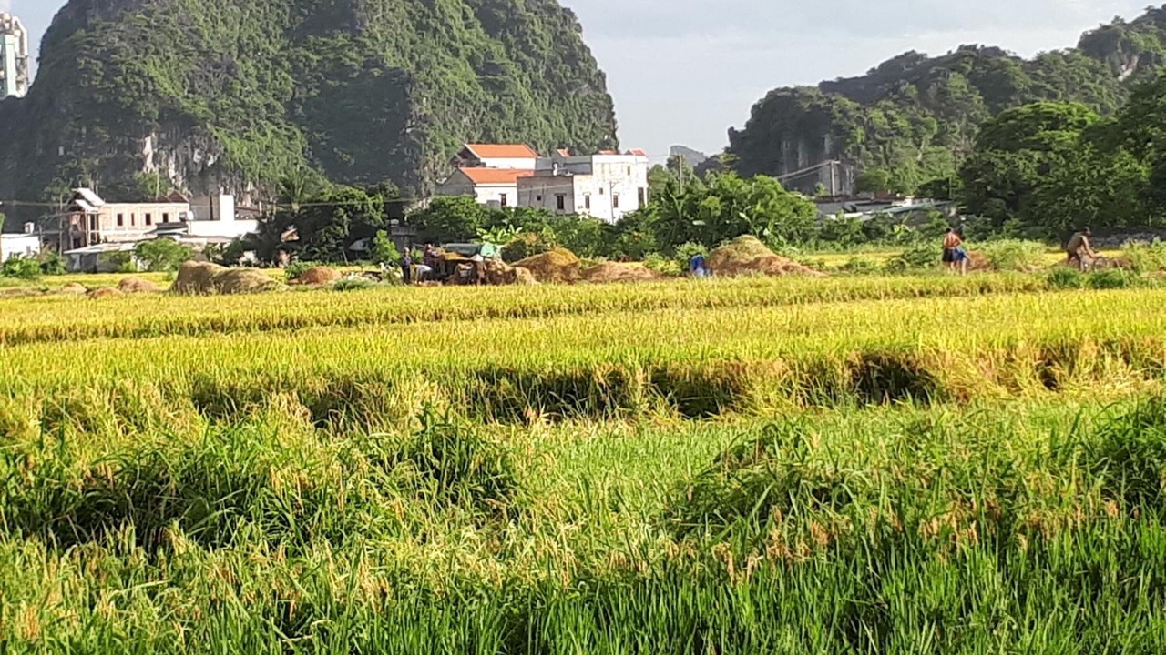Photo of Outdoor in Hoa Lu