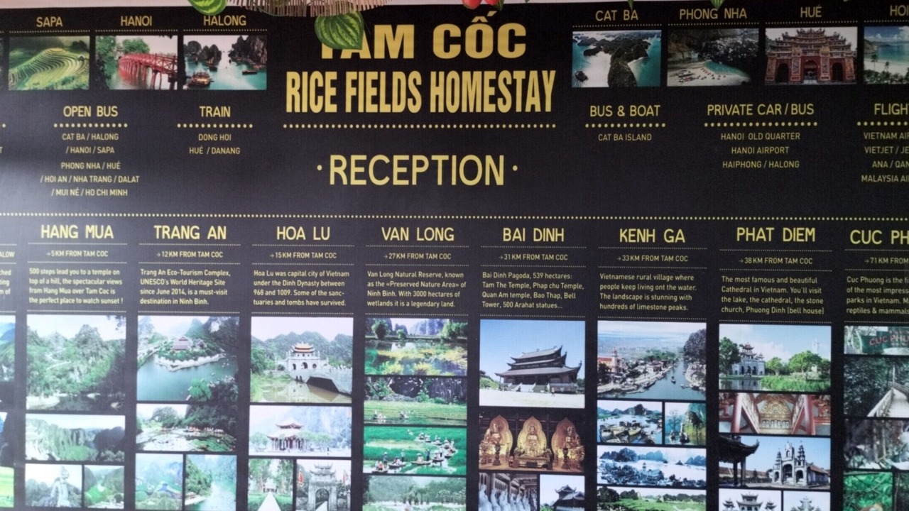 Photo of Others in Hoa Lu