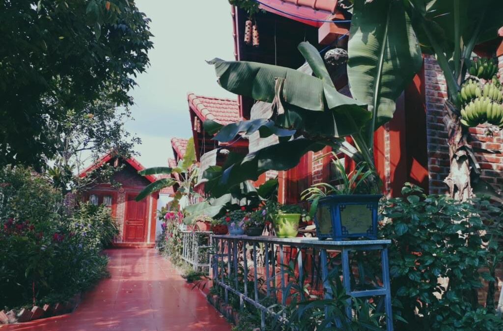 Photo of Outdoor in Hoa Lu
