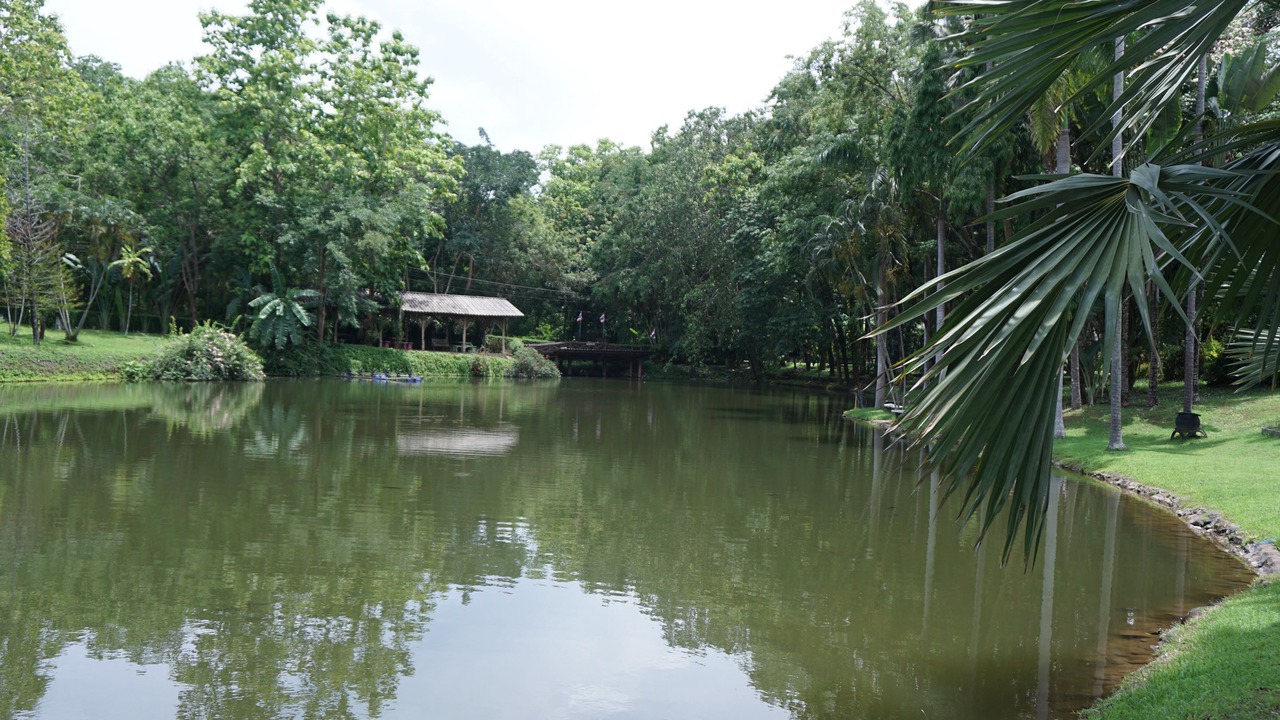 Photo of Outdoor in Chiang Klang