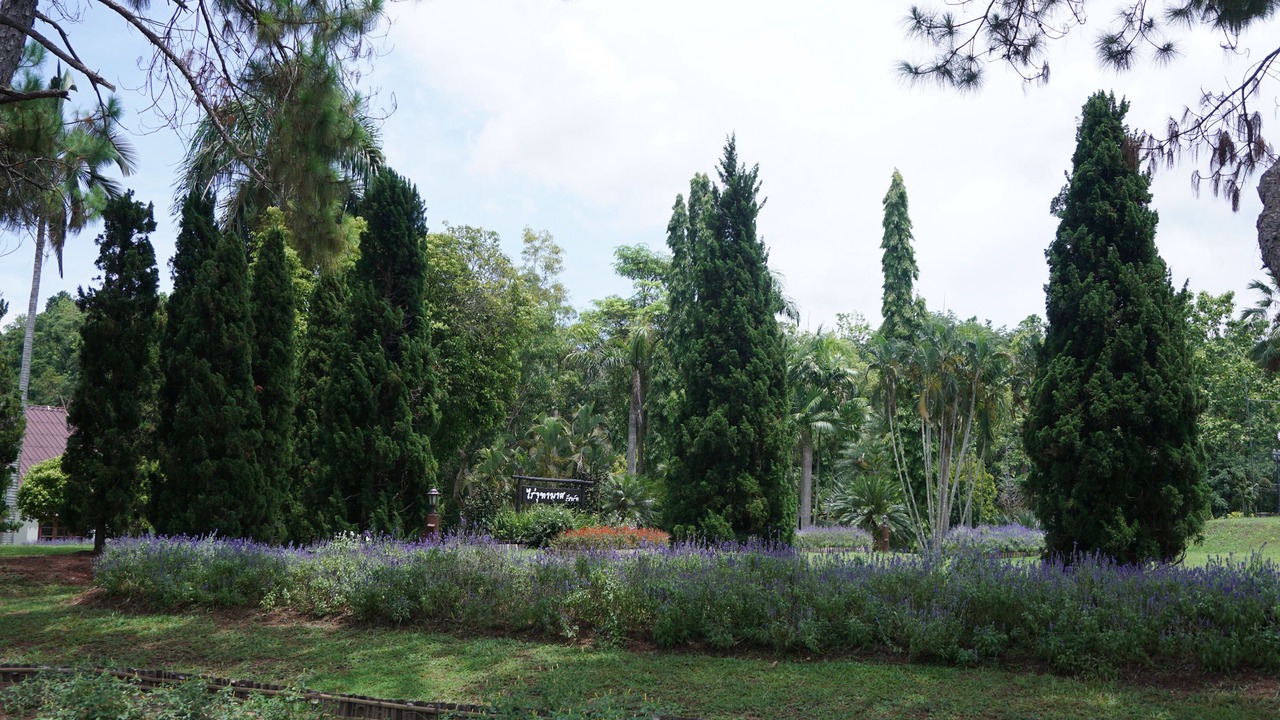 Photo of Outdoor in Chiang Klang