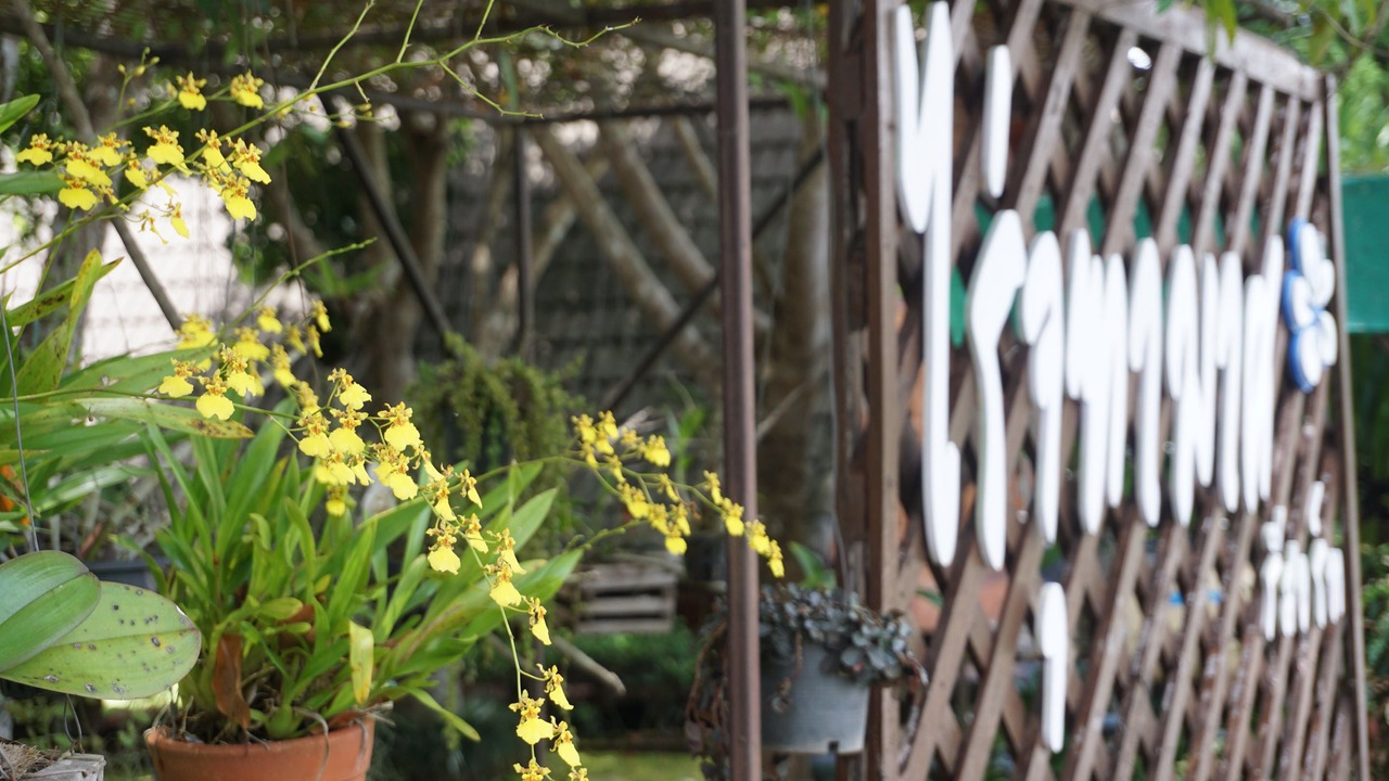 Photo of Outdoor in Chiang Klang