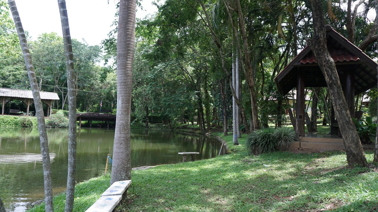 Photo of Outdoor in Chiang Klang