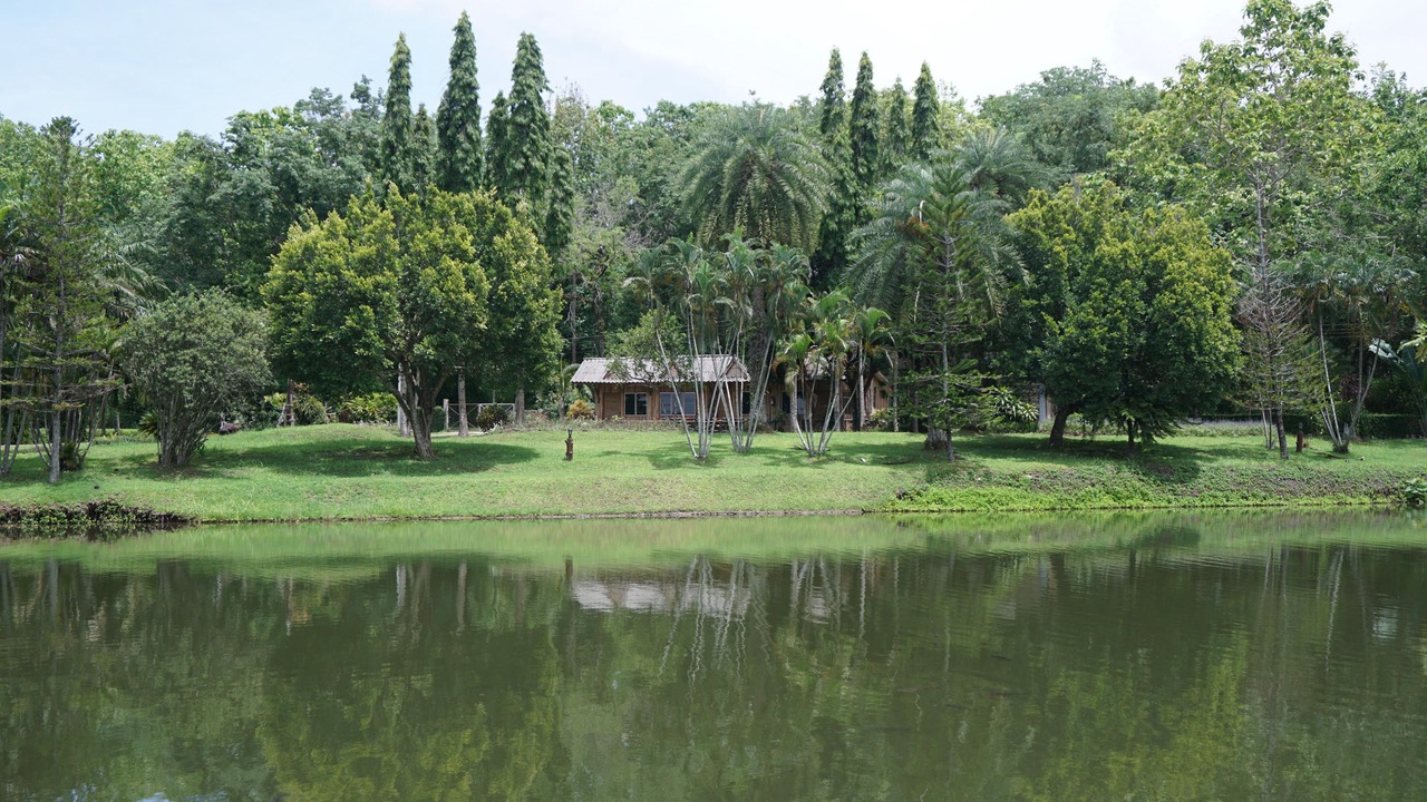 Photo of Outdoor in Chiang Klang