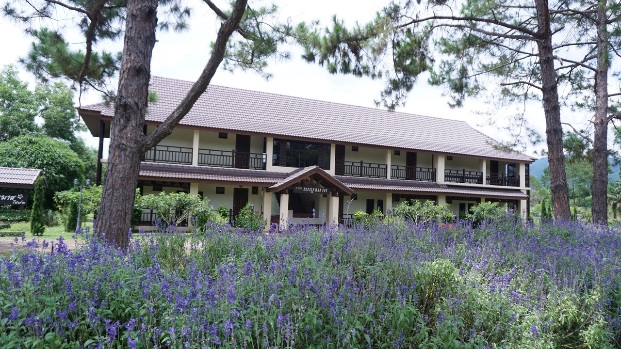 Photo of Outdoor in Chiang Klang