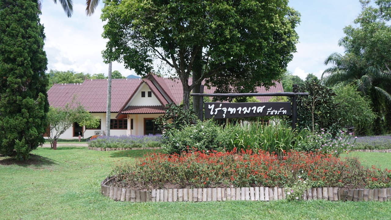 Photo of Outdoor in Chiang Klang