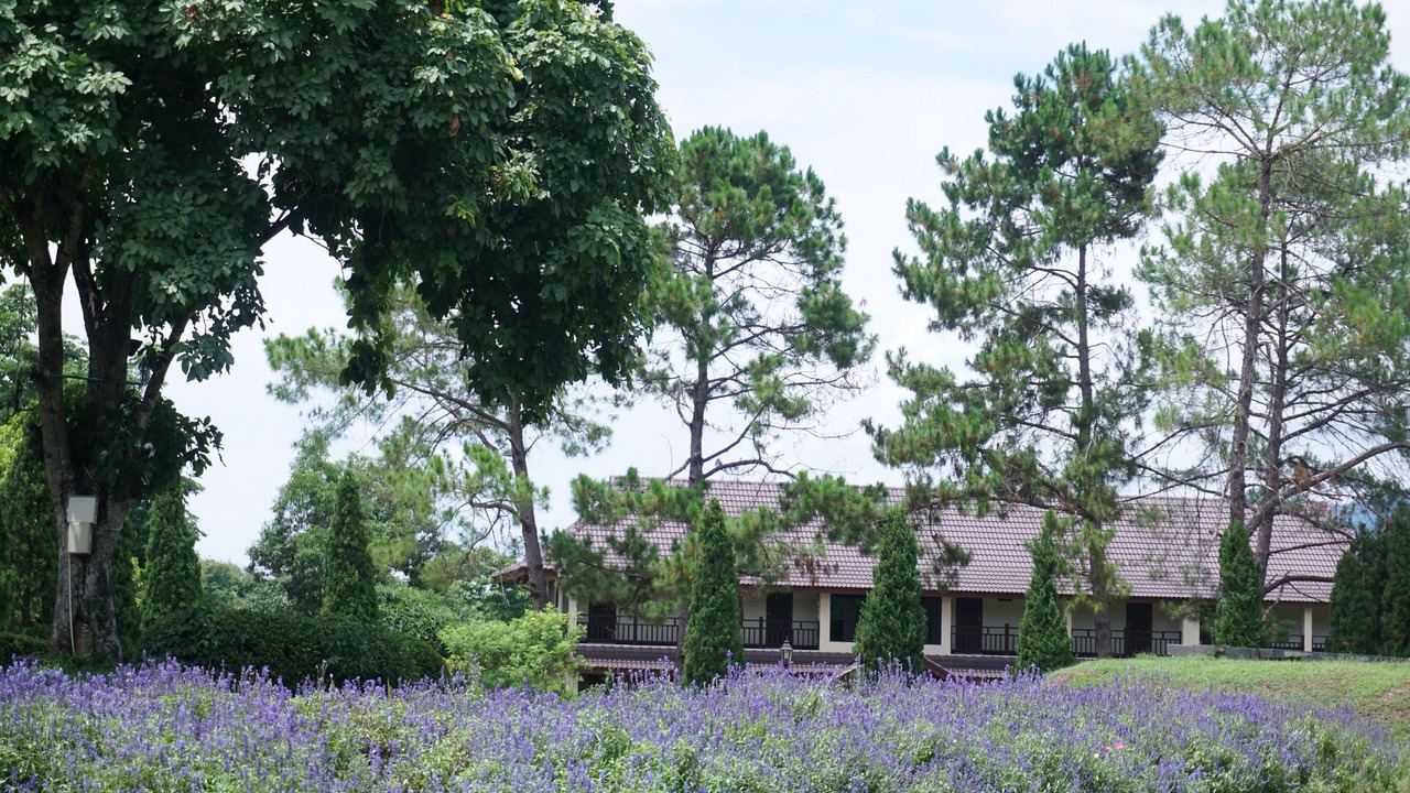 Photo of Outdoor in Chiang Klang