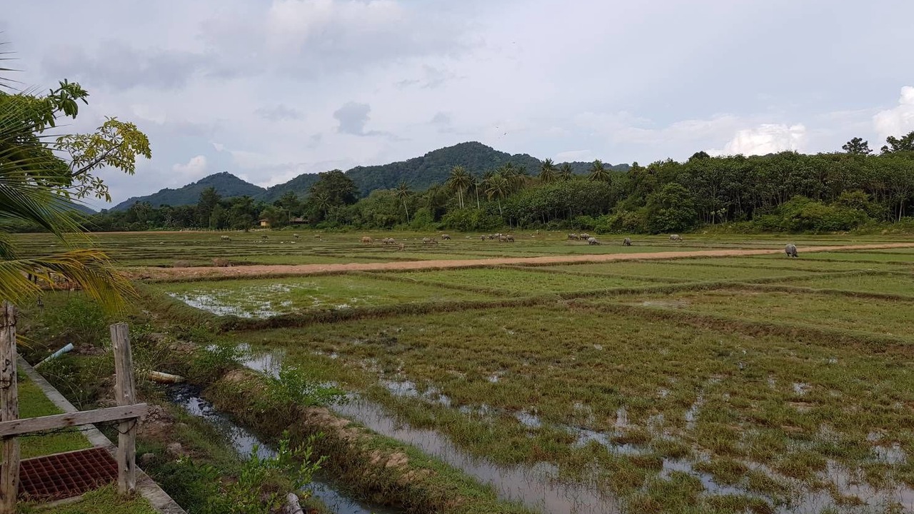 Photo of Outdoor in Ko Yao