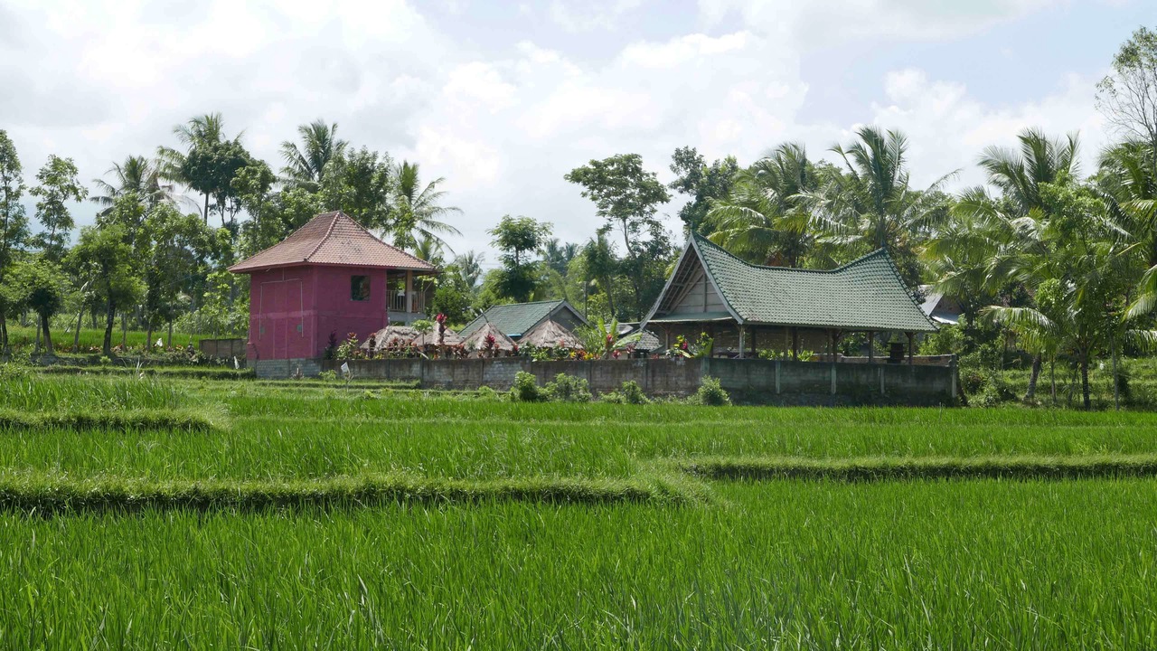 Photo of Outdoor in Kecamatan Pringgasela