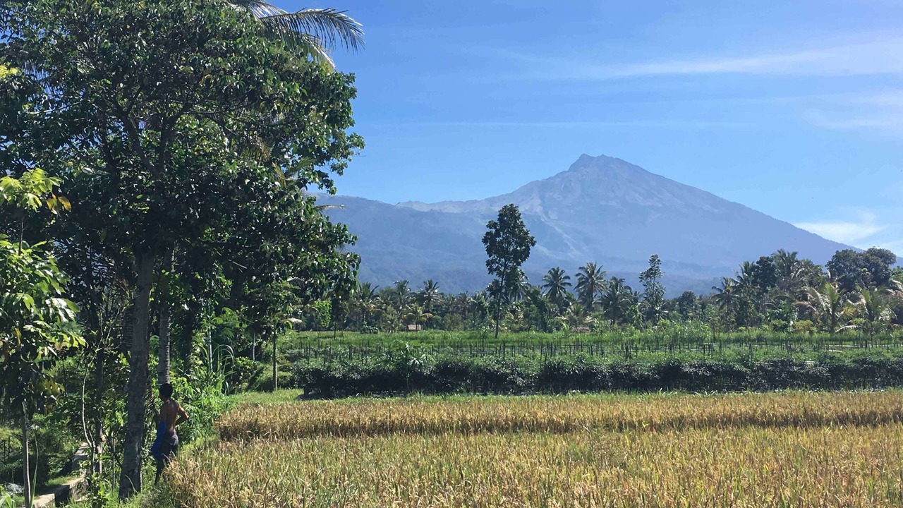 Photo of Others in Kecamatan Pringgasela