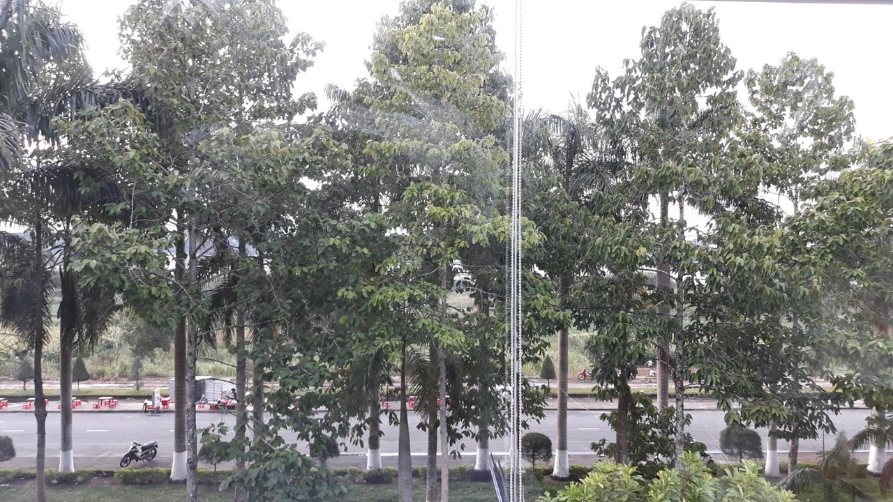 Photo of Outdoor in Quang Ngai