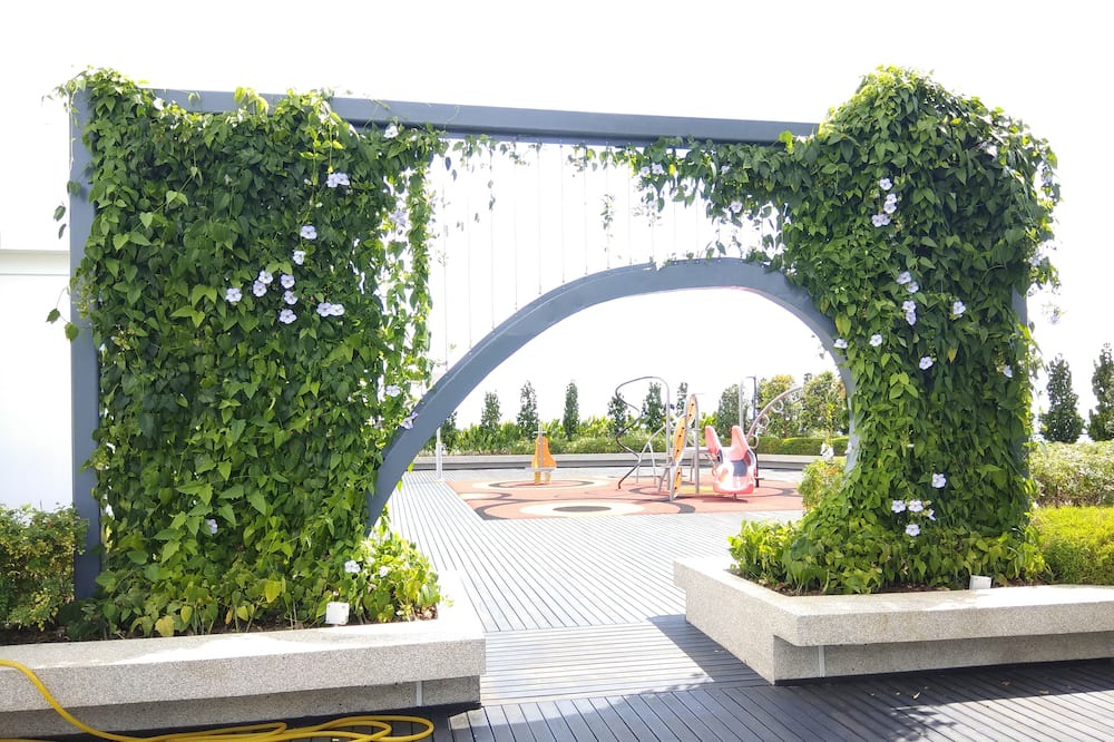 Photo of Outdoor in Kampung Sembulan Baru