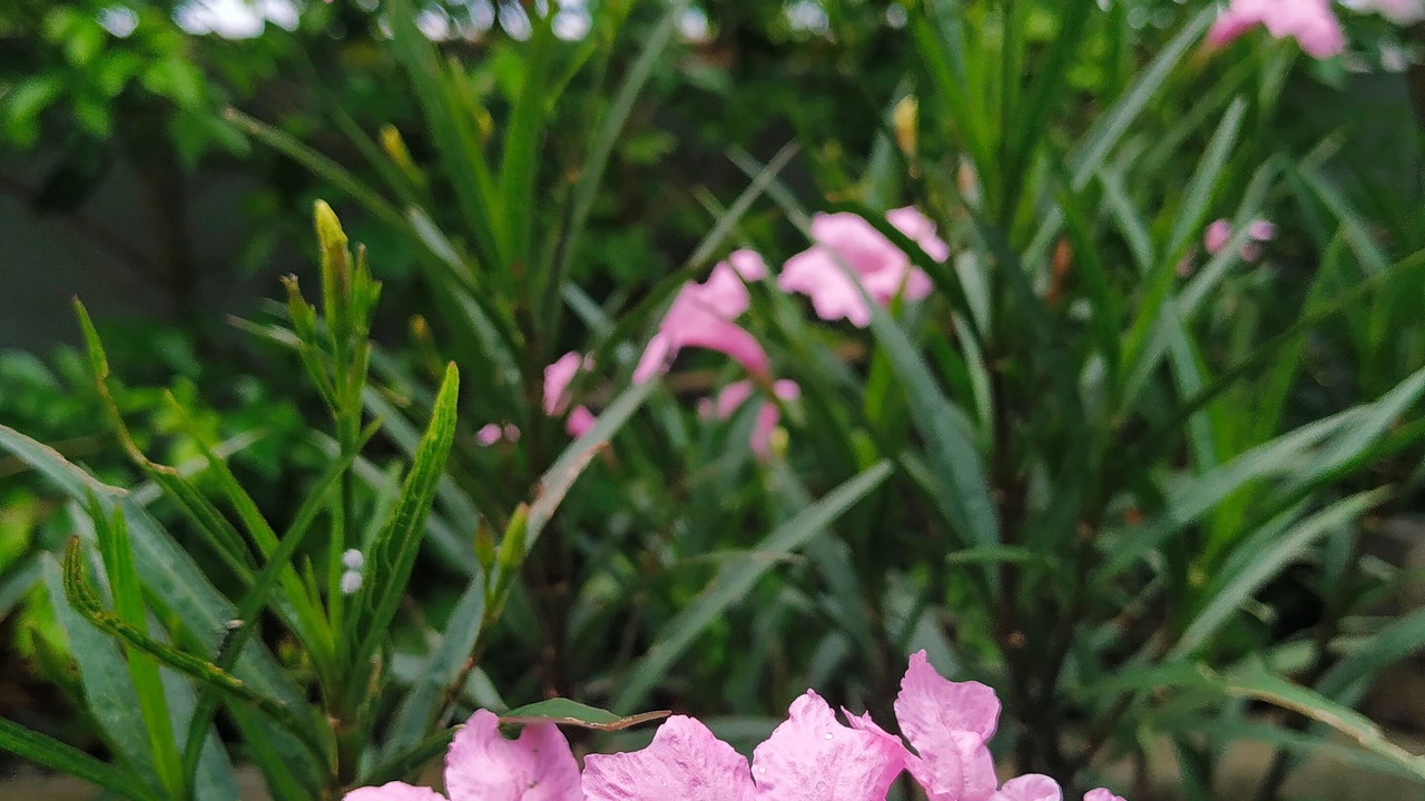 Photo of Outdoor in Ao Luek