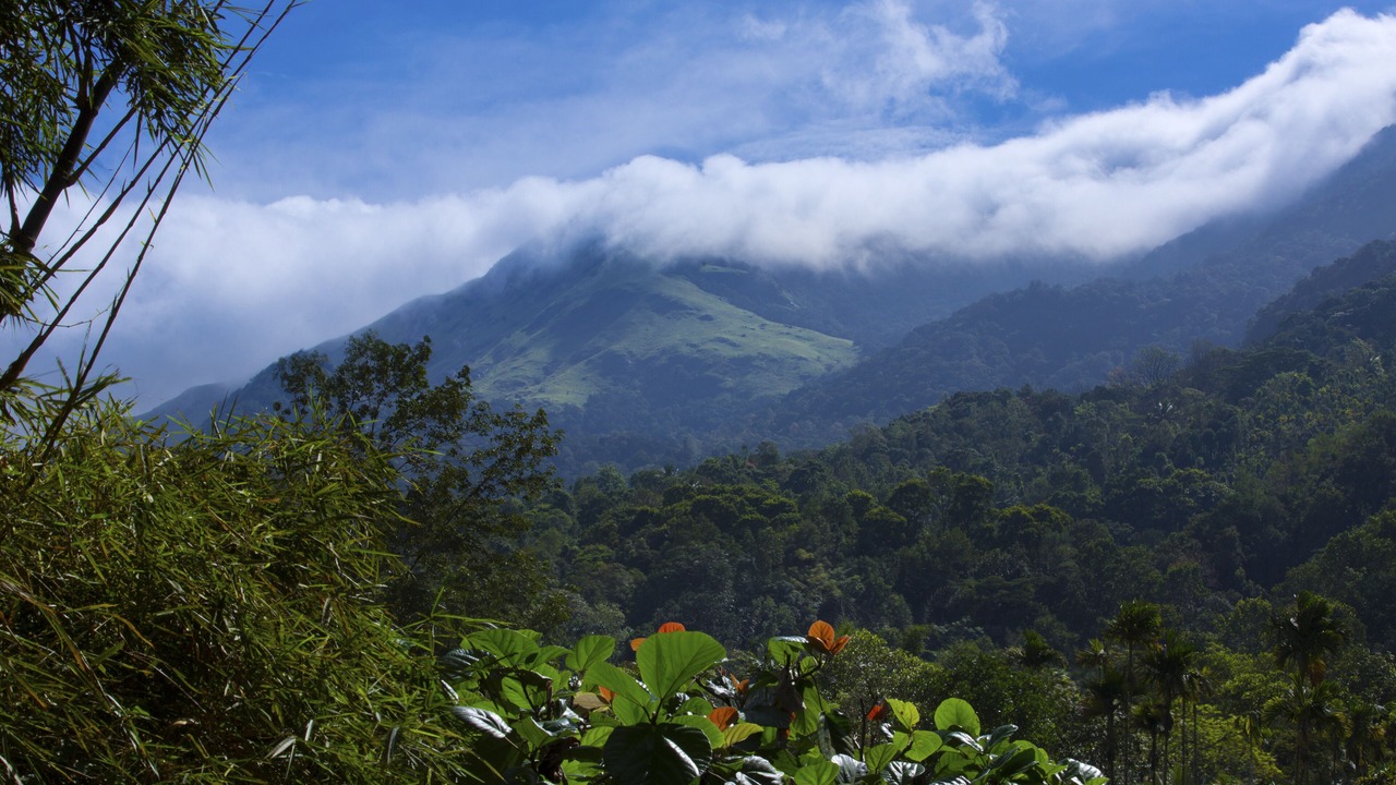 Photo of Outdoor in Kunnathidavaka