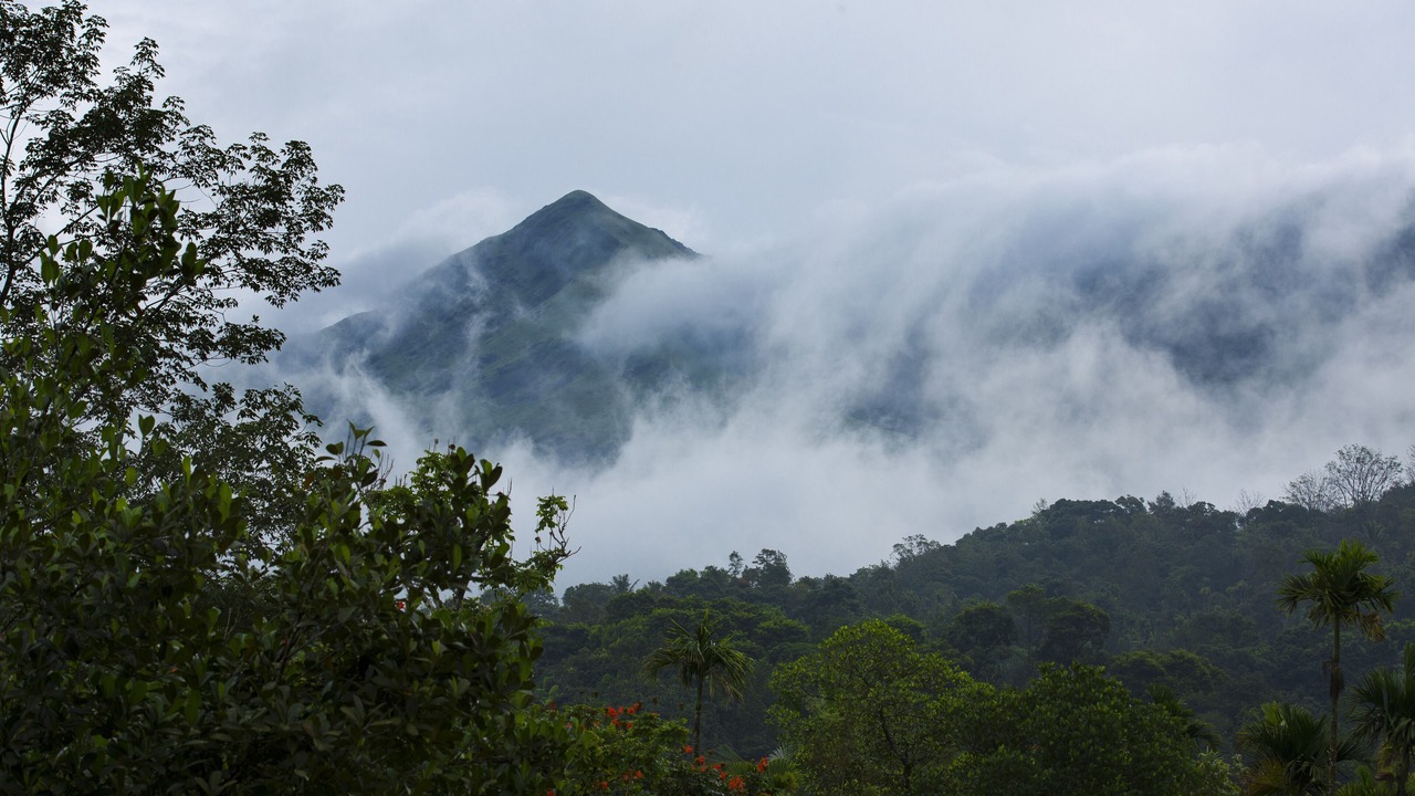 Photo of Outdoor in Kunnathidavaka